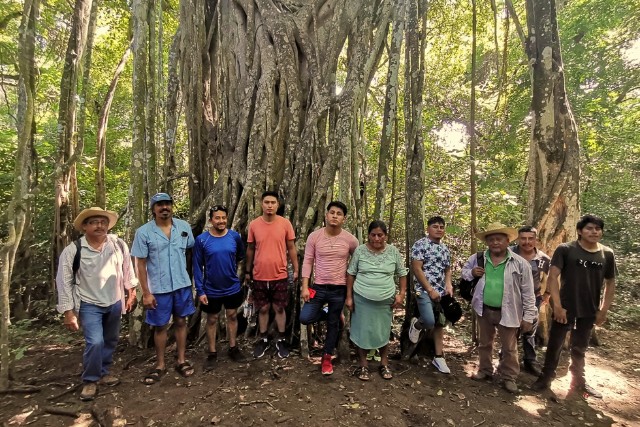 Somos un centro de Agroecología y Permacultura en Veracruz