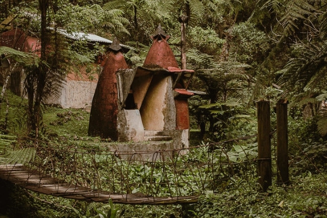 instalaciones-aldea-las-canadas-bosque-de-niebla