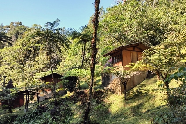 instalaciones-cabanas-aldea-las-canadas-bosque-de-niebla