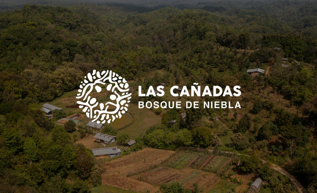 portada-presentación-las-canadas-bosque-de-niebla (1)
