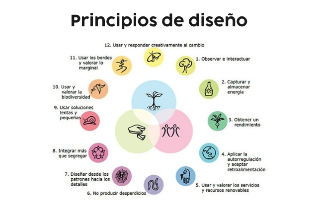 principios-diseno-permacultura-las-canadas-bosque-de-niebla