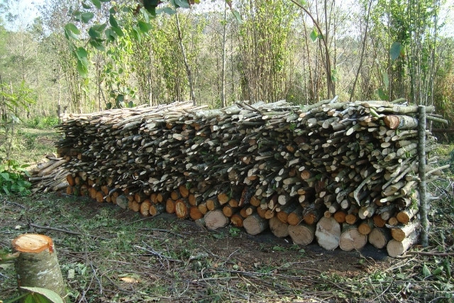 Somos un centro de Agroecología y Permacultura en Veracruz