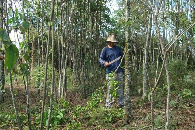 Somos un centro de Agroecología y Permacultura en Veracruz