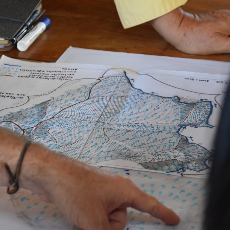 cursos-en-linea-las-canadas-bosque-de-niebla