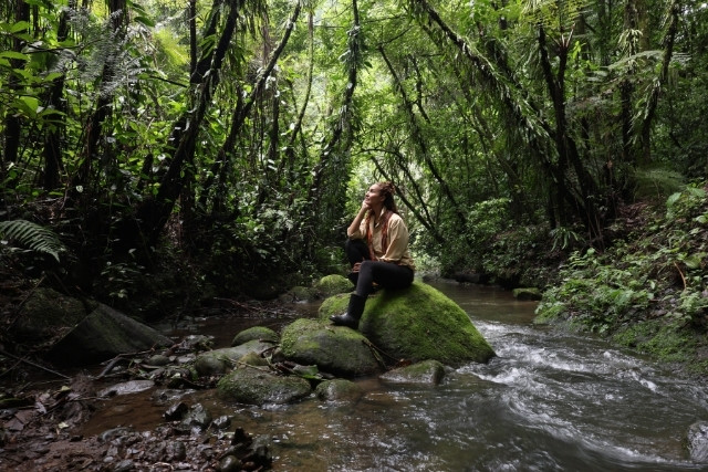 reflexiones-las-canadas-bosque-de-niebla