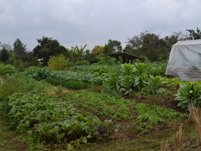 Agroecologia-familiar-2