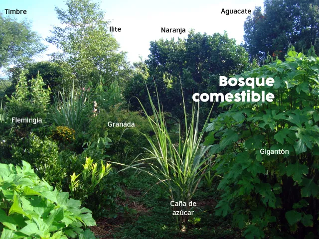 Agroecologia-familiar-3