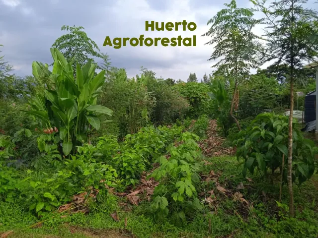 Agroecologia-familiar-5